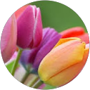 Julie R. profile picture